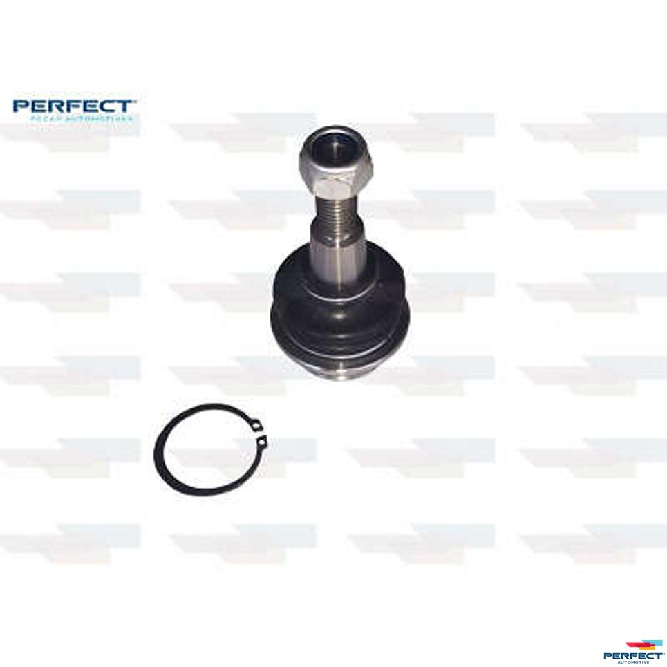 Pivo Suspensão para Ford Ranger - Perfect - PVI0212
