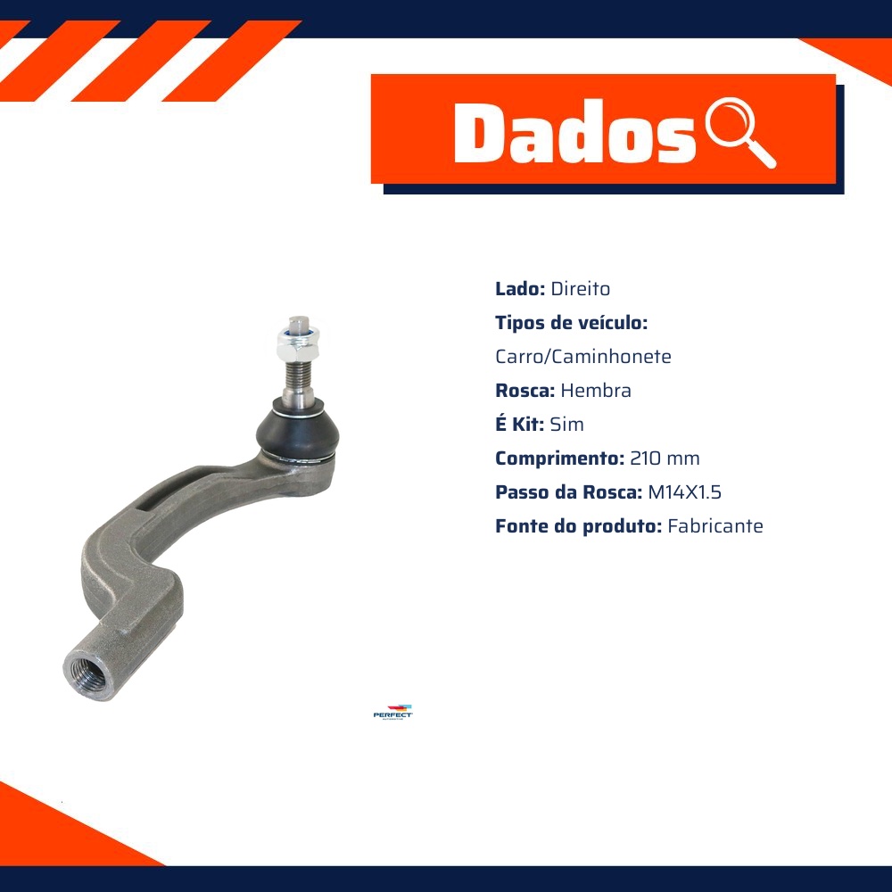 Terminal de Direção - Perfect - TDI3002