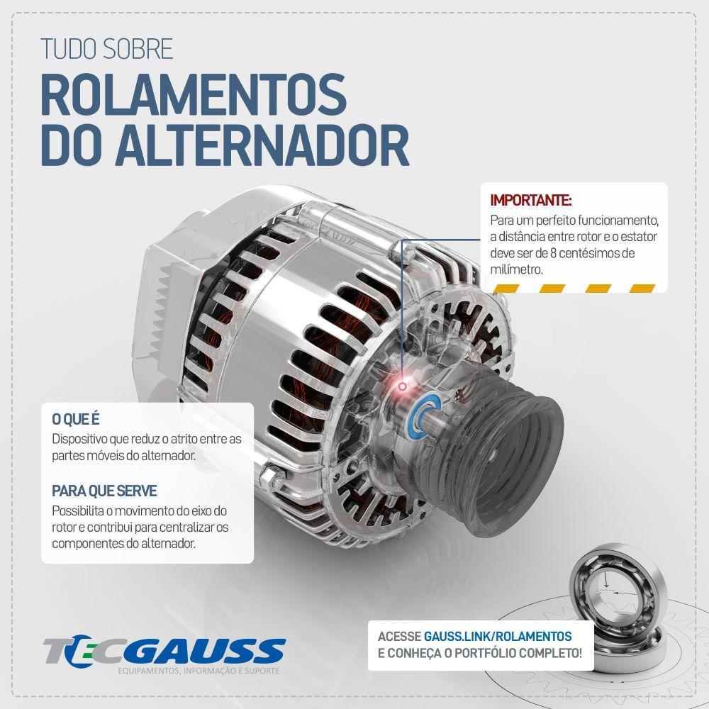 Rolamento de Esferas do Alternador - Gauss - GR3660