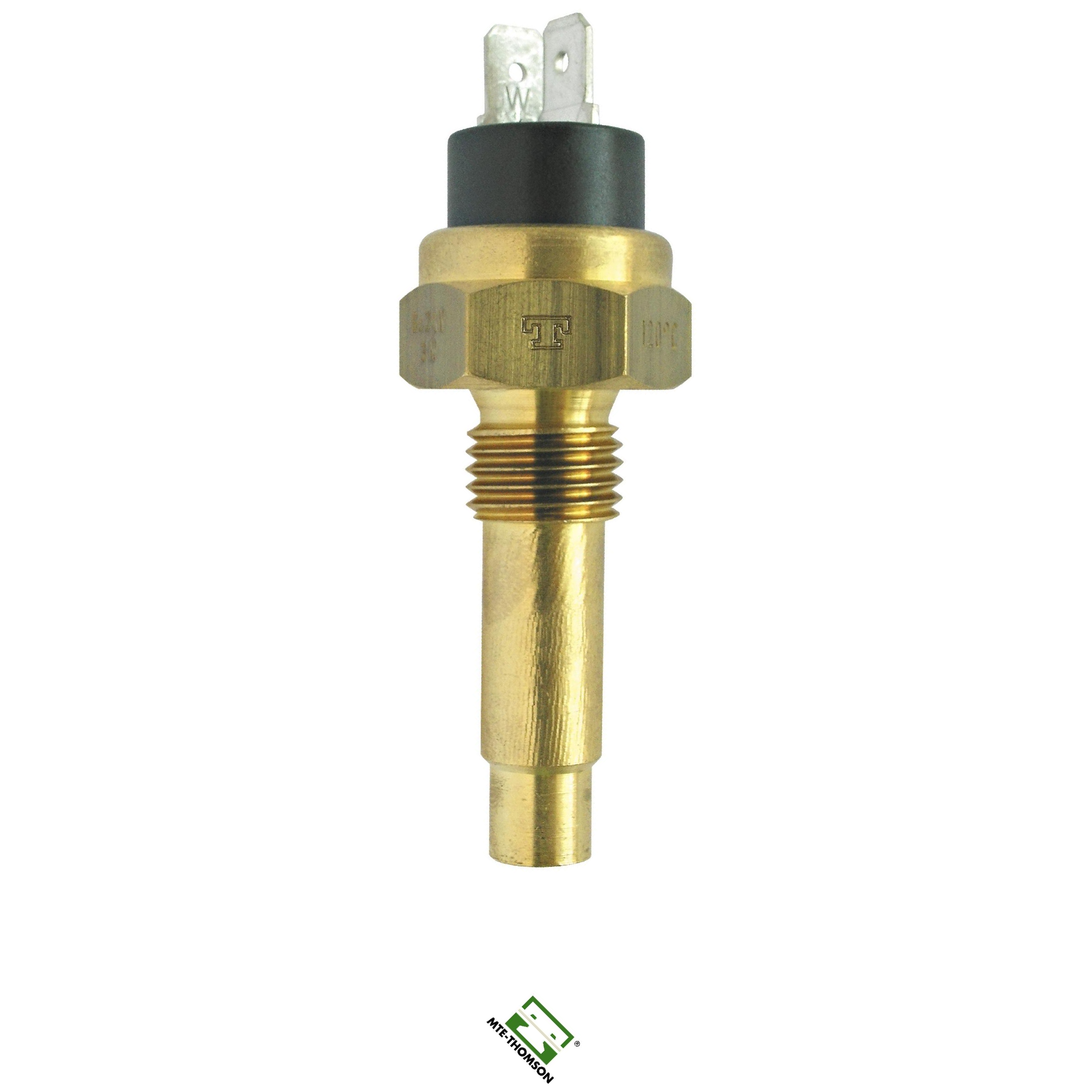 Sensor de Temperatura da Água - MTE - 3091