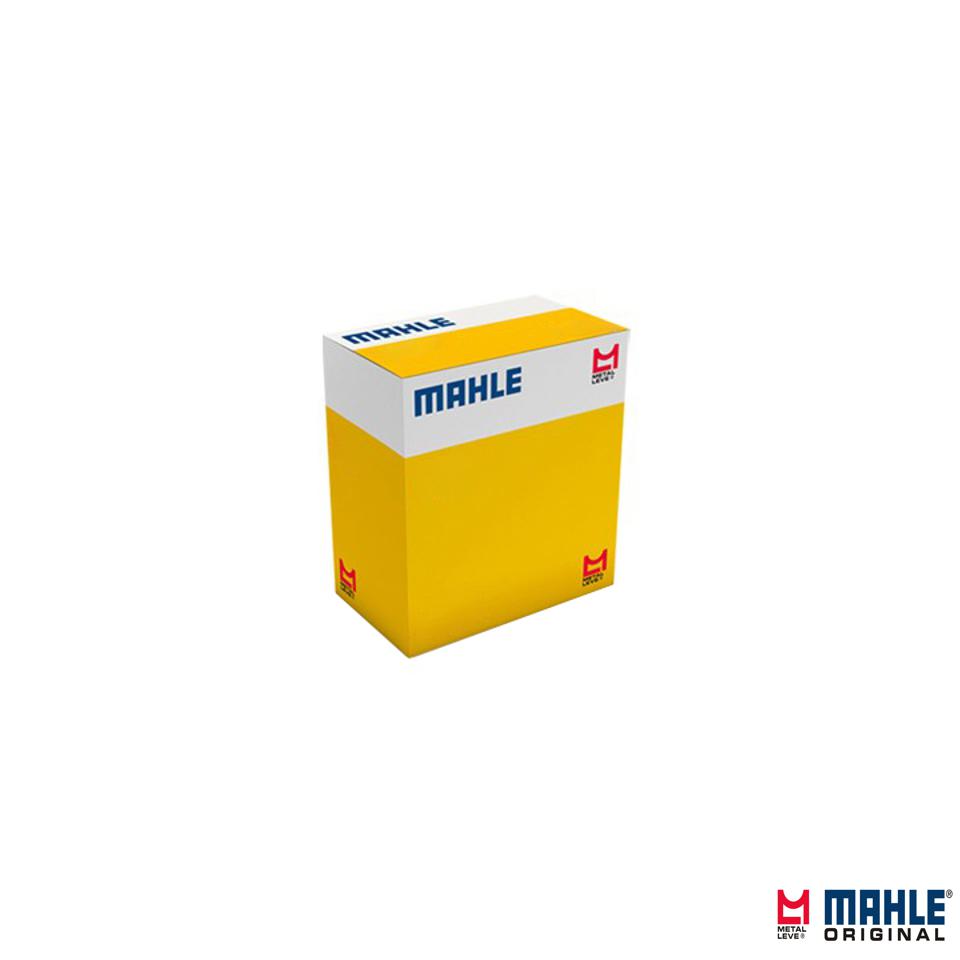 Jogo com 8 Válvulas de Admissão - Mahle Metal Leve - VA5511748 STD