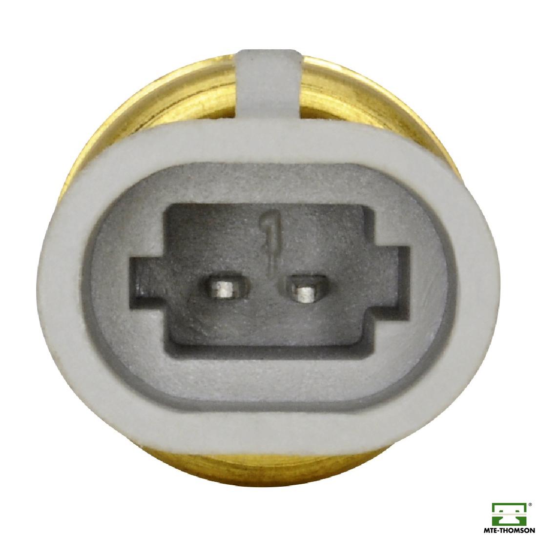 Sensor de Temperatura do Ar - MTE - 5029