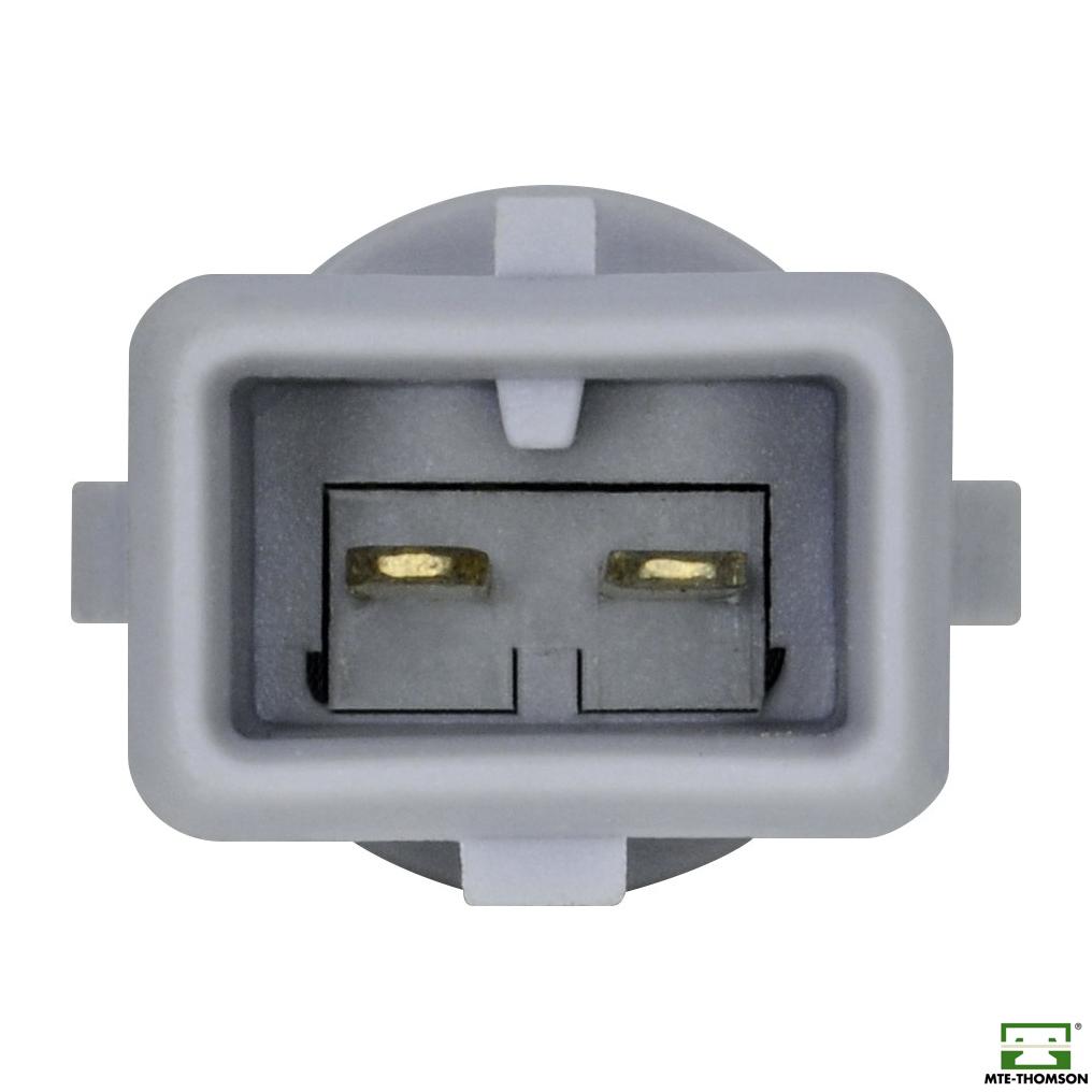 Sensor de Temperatura do Ar - MTE - 5071