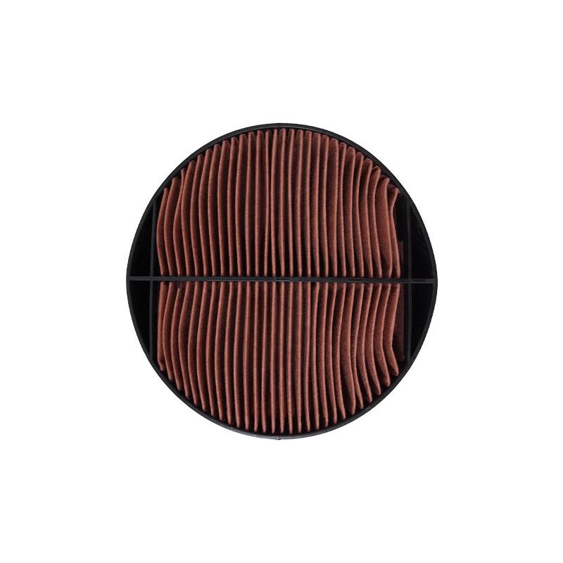 Filtro de Ar Secundário do Motor - Wega - WAP-173/S
