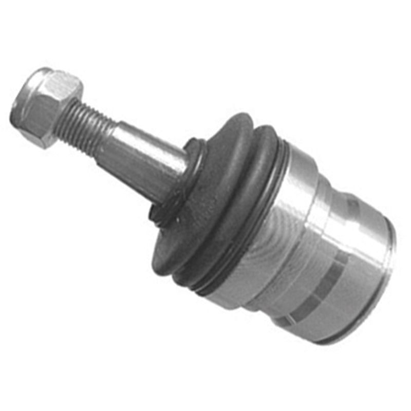 Pivô da Suspensão para Dodge Dakota - Amortex - 53013