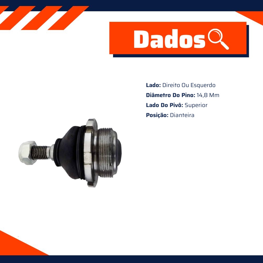 Pivô da Suspensão para Peugeot 504 - Amortex - 53008