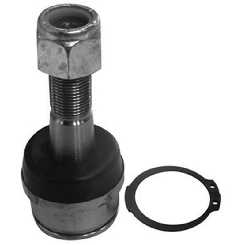 Pivô da Suspensão para Ford F-250 - Amortex - 53084