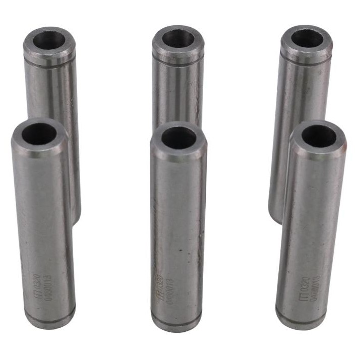 6 Guias de Válvula de Admissão Std - Mahle Metal Leve - GA0480013 STD