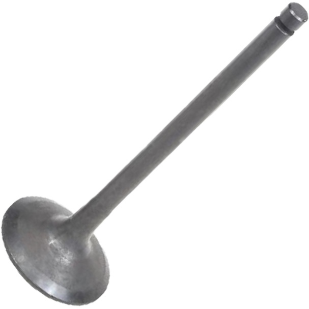 Válvula de Admissão - Mahle Metal Leve - VA0111409 STD