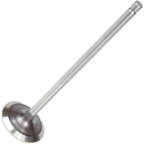 Válvula de Admissão - Mahle Metal Leve - VA0110232 STD
