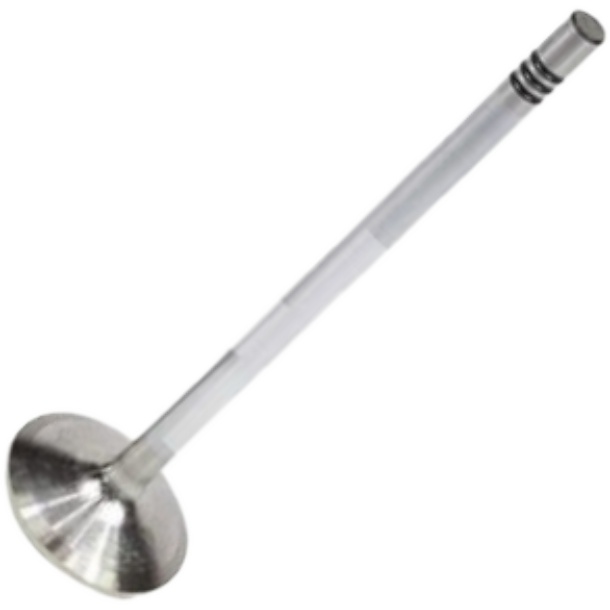 Válvula de Admissão - Mahle Metal Leve - VA0461693 STD