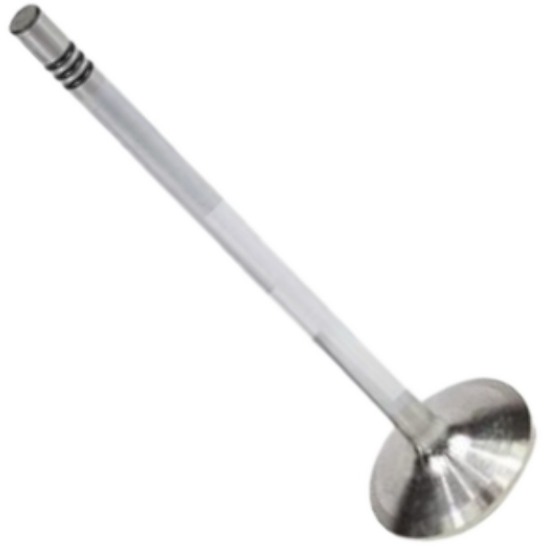 Válvula de Admissão - Mahle Metal Leve - VA0461693 STD