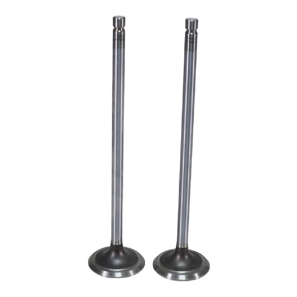 Par de Válvula de Escape Std - Mahle Metal Leve - VE0110233 STD