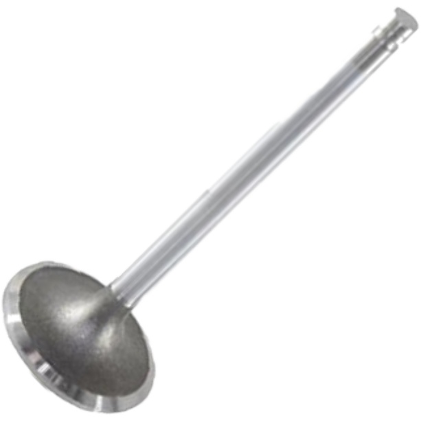 Válvula de Escape - Mahle Metal Leve - VE0210150 STD