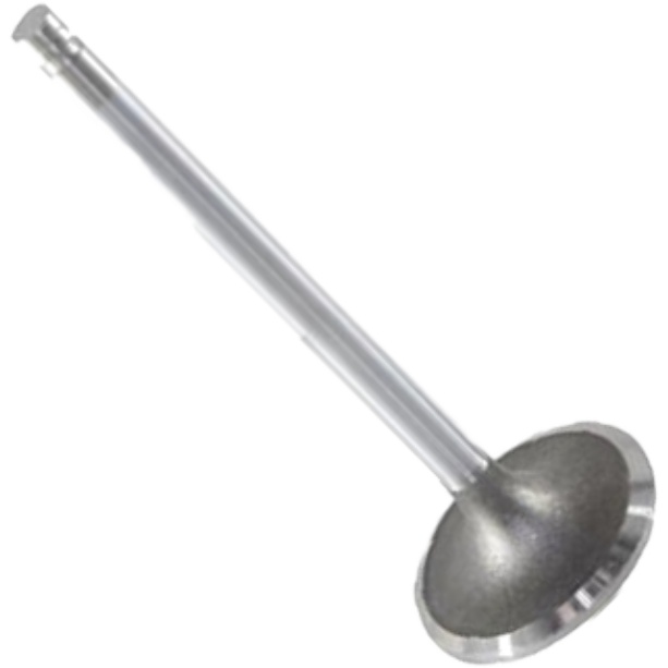 Válvula de Escape - Mahle Metal Leve - VE0210150 STD