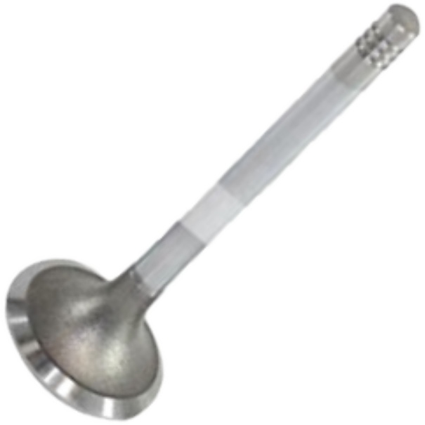 Válvula de Escape - Mahle Metal Leve - VE0210443 STD