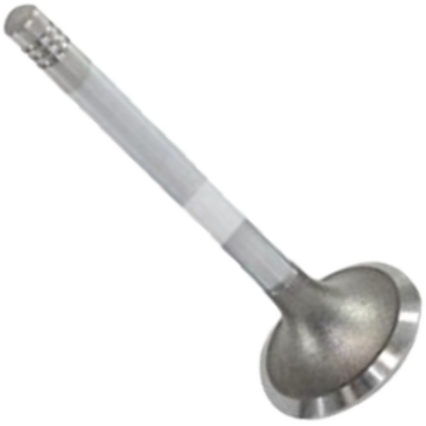 Válvula de Escape - Mahle Metal Leve - VE0210443 STD