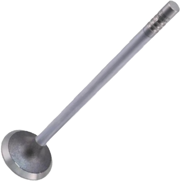 Válvula de Escape - Mahle Metal Leve - VE0461694 STD