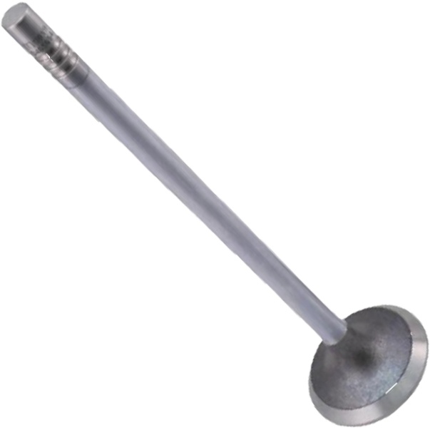 Válvula de Escape - Mahle Metal Leve - VE0461694 STD