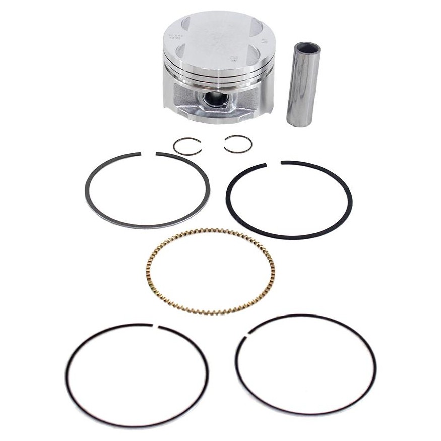 Pistão com Anéis 1,00 para Honda CBX 250 Twister e XR 250 TORNADO - Mahle Metal Leve - P&A9201 1,00