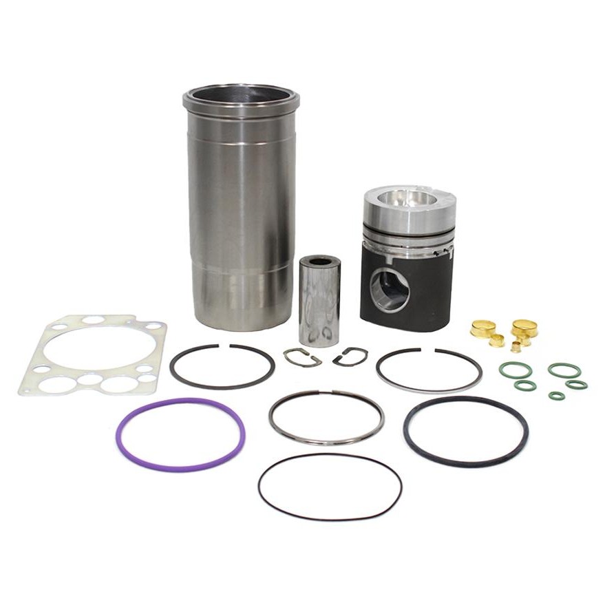 Super Kit para Motor 0,25 para Volvo N10 300 - Mahle Metal Leve - SUK1730 WS 0,25