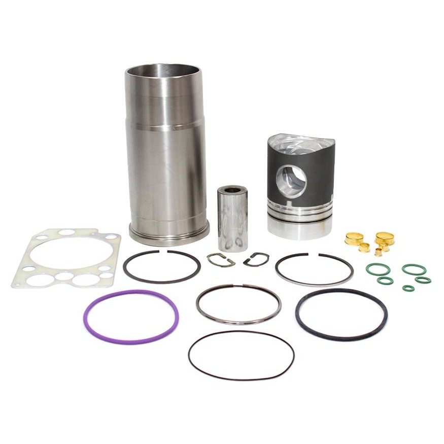 Super Kit para Motor 0,25 para Volvo N10 300 - Mahle Metal Leve - SUK1730 WS 0,25