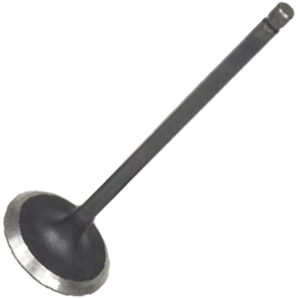 Válvula de Admissão - Mahle Metal Leve - VA0031570 STD