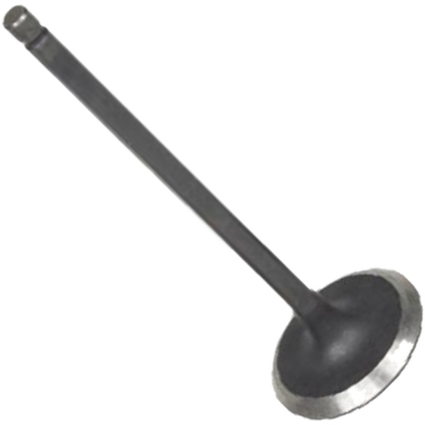 Válvula de Admissão - Mahle Metal Leve - VA0031570 STD