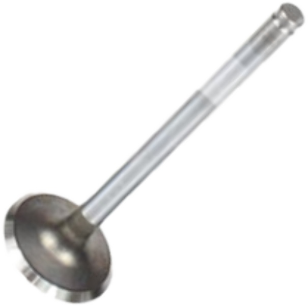 Válvula de Admissão - Mahle Metal Leve - VA0570111 STD