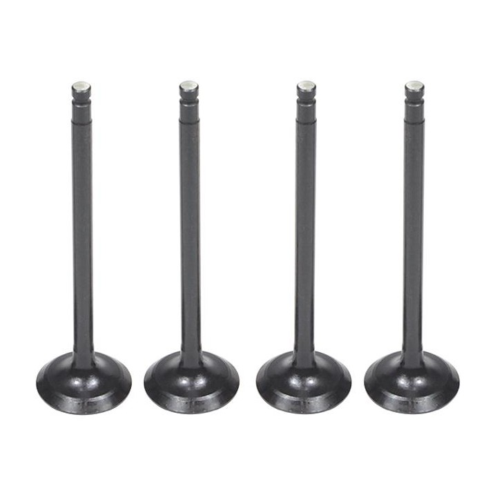 Jogo de Válvulas de Admissão Std - Mahle Metal Leve - VA0031617 STD