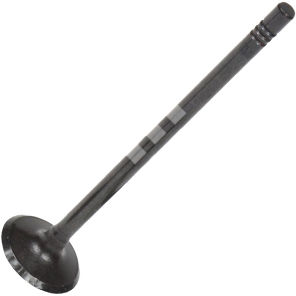Válvula de Admissão - Mahle Metal Leve - VA0181606 STD