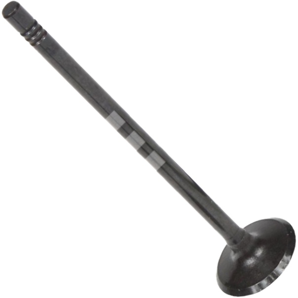 Válvula de Admissão - Mahle Metal Leve - VA0181606 STD