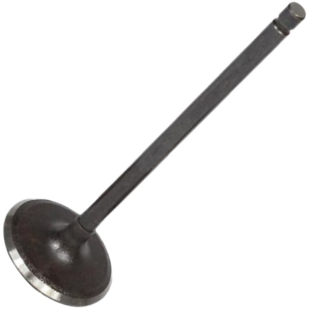Válvula de Admissão para Renault Fluence - Mahle Metal Leve - VA0031604 STD