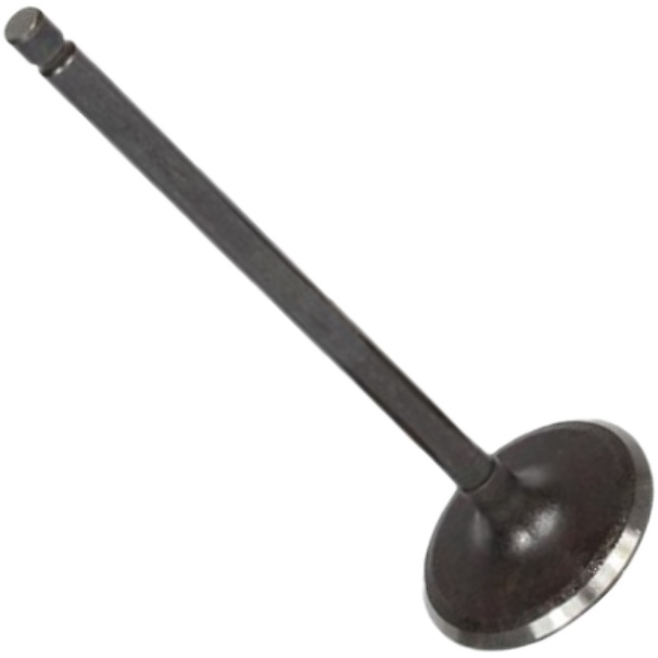 Válvula de Admissão para Renault Fluence - Mahle Metal Leve - VA0031604 STD