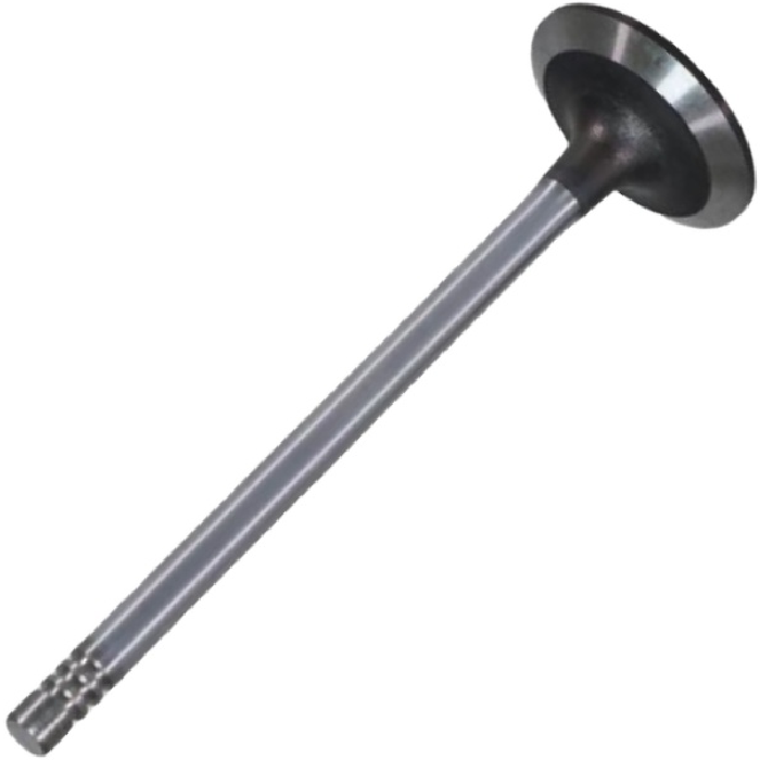 Válvula de Admissão - Mahle Metal Leve - VA0131750 STD