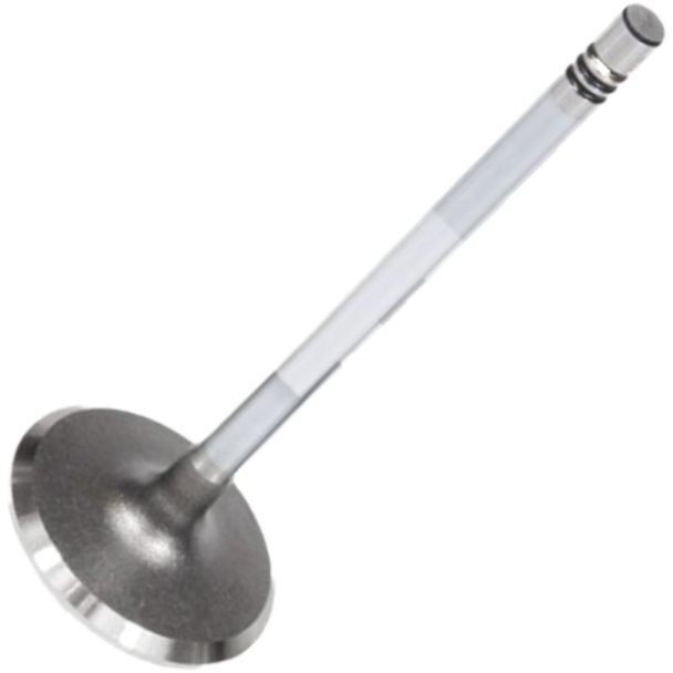 Válvula de Admissão - Mahle Metal Leve - VA0141396 STD