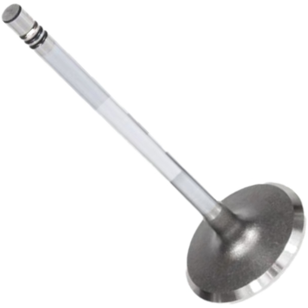 Válvula de Admissão - Mahle Metal Leve - VA0141396 STD