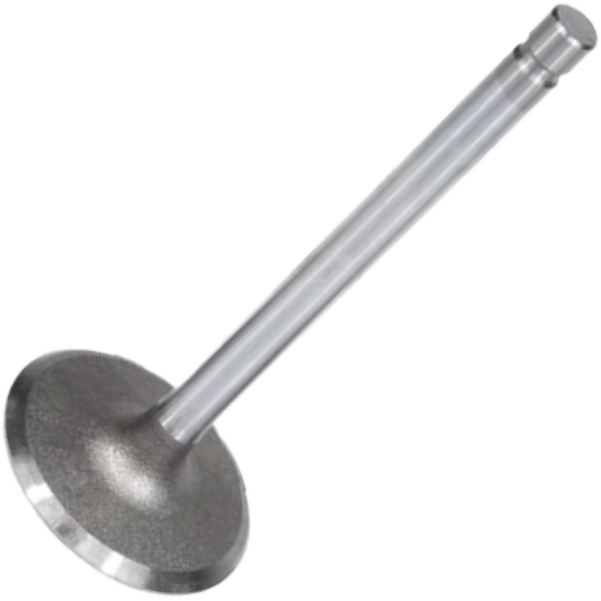 Válvula de Admissão para Chevrolet Blazer e S10 - Mahle Metal Leve - VA0140183 STD