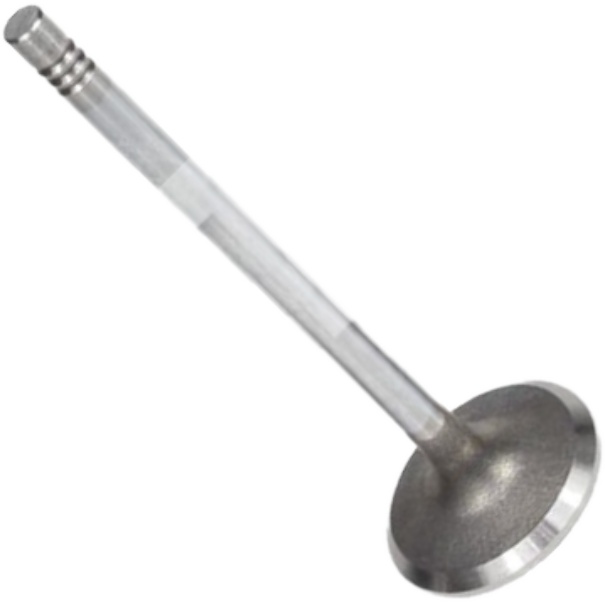 Válvula de Admissão - Mahle Metal Leve - VA0141431 STD