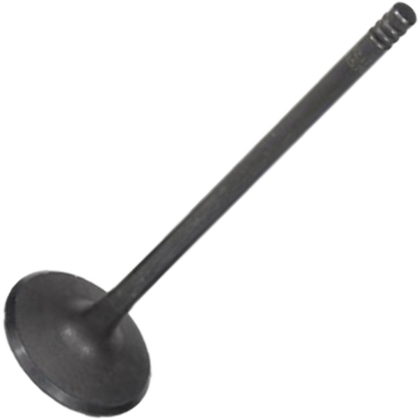 Válvula de Admissão - Mahle Metal Leve - VA0141579 STD
