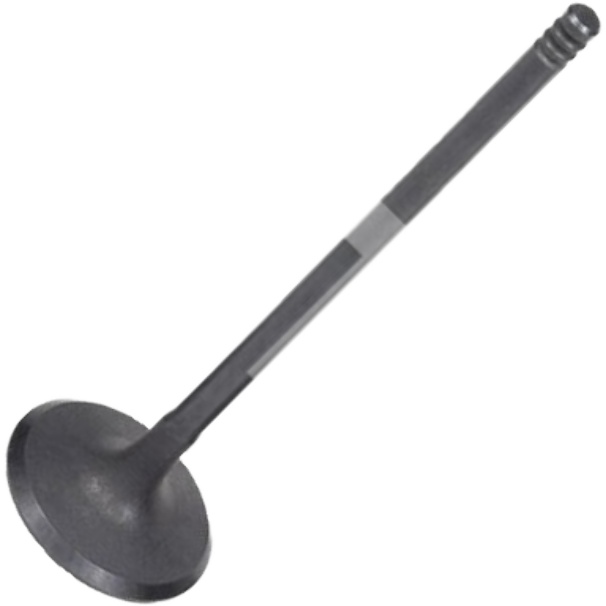 Válvula de Admissão - Mahle Metal Leve - VA0141581 STD