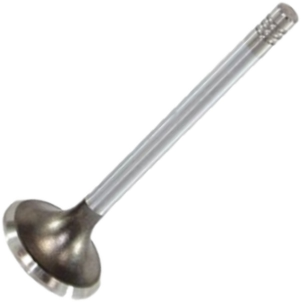 Válvula de Admissão - Mahle Metal Leve - VA0180124 STD