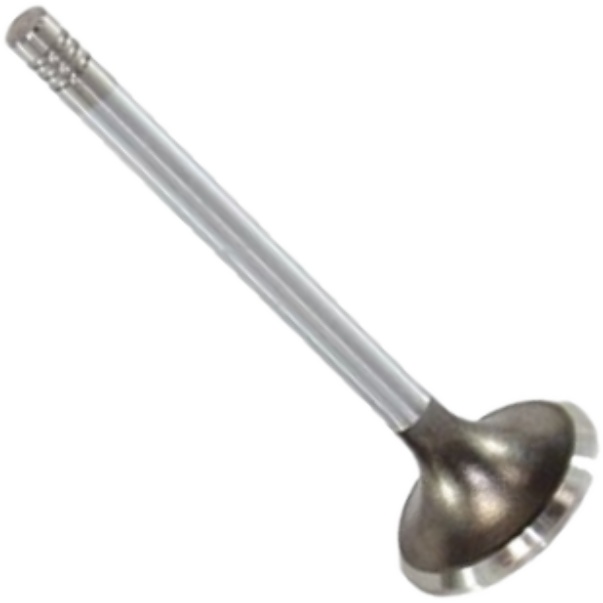 Válvula de Admissão - Mahle Metal Leve - VA0180124 STD