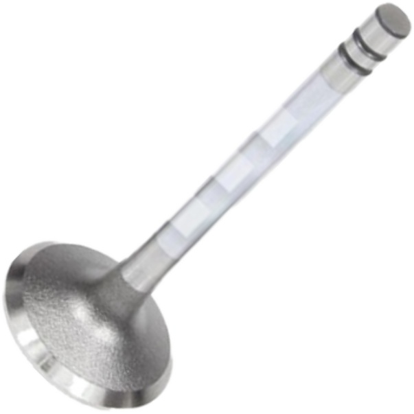 Válvula de Admissão para Renault R19 - Mahle Metal Leve - VA0180389 STD