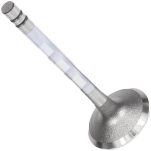 Válvula de Admissão para Renault R19 - Mahle Metal Leve - VA0180389 STD