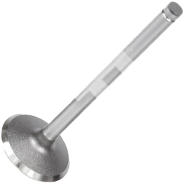 Válvula de Admissão - Mahle Metal Leve - VA0180395 STD