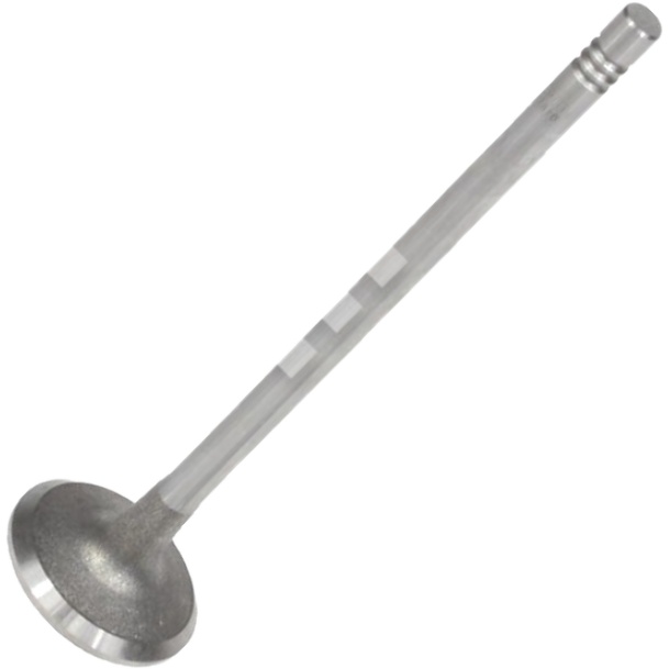 Kit 4 Válvula de Admissão para Renault Master - Mahle Metal Leve - VA0181483 STD
