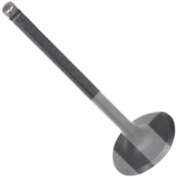 Válvula de Admissão - Mahle Metal Leve - VA0181703 STD