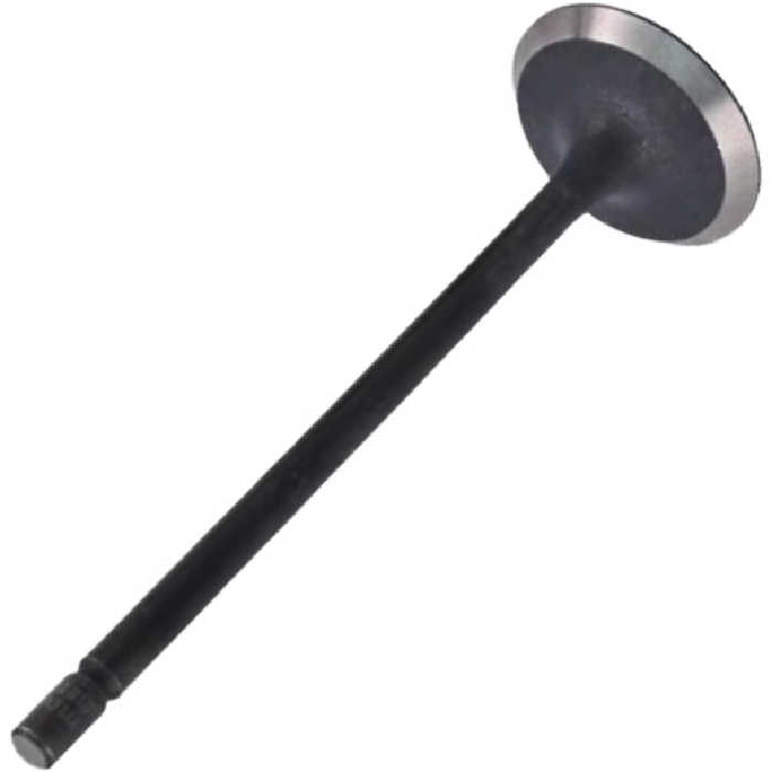 Válvula de Admissão - Mahle Metal Leve - VA0181746 STD