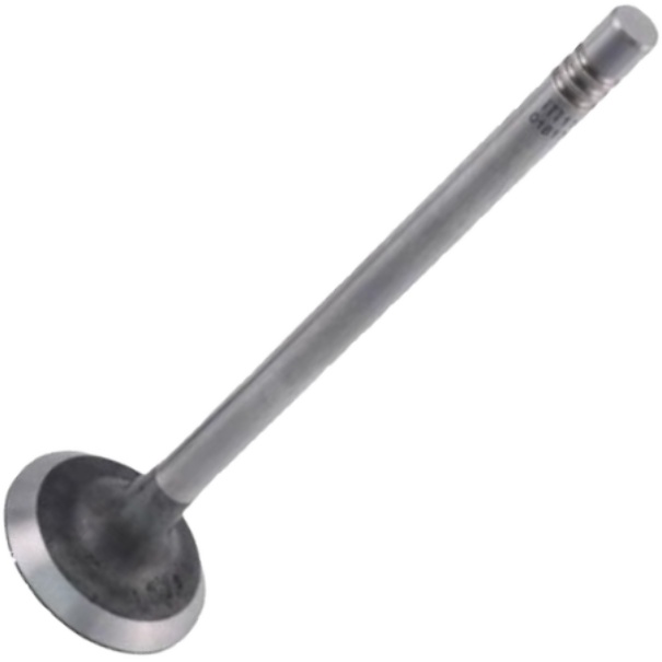 Válvula de Admissão para Renault Master - Mahle Metal Leve - VA0181766 STD
